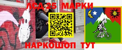 гидропоника Новозыбков