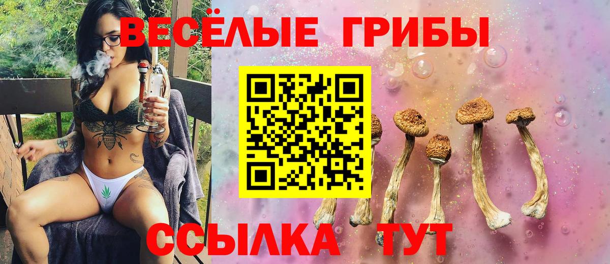 Галлюциногенные грибы MAGIC MUSHROOMS  Псилоцибиновые грибы мицелий  Вход с VPN  купить наркоту  Унеча 