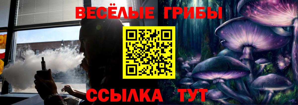 Галлюциногенные грибы GOLDEN TEACHER Унеча